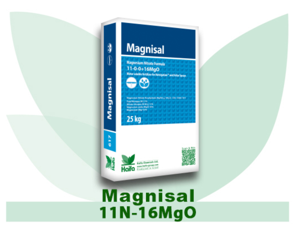 Magnisal